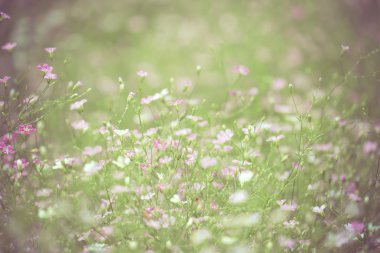 Filtre etkisi retro vintage tarzı çiçeklerle