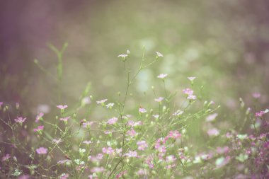 Filtre etkisi retro vintage tarzı çiçeklerle