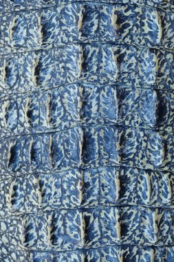 Timsah derisi dokusu