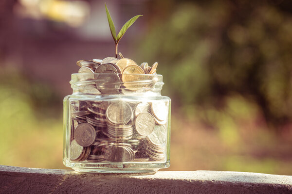 plant growing out of coins with filter effect retro vintage style