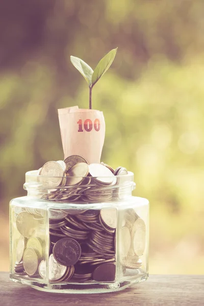 Plant growing out of coins with filter effect retro vintage style — Stock Photo, Image