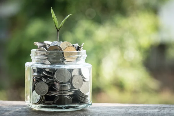 Plant growing out of coins with filter effect retro vintage style — Stock Photo, Image