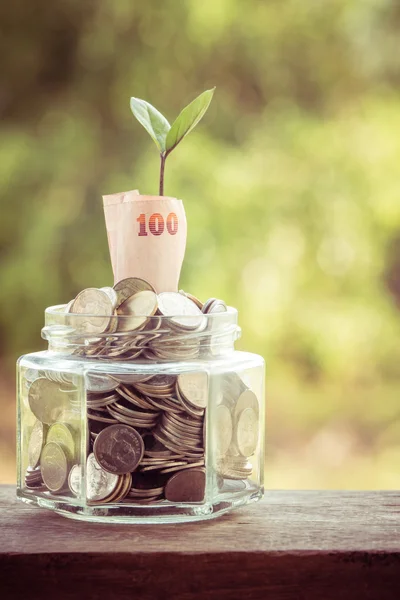 Plant growing out of coins with filter effect retro vintage style — Stock Photo, Image