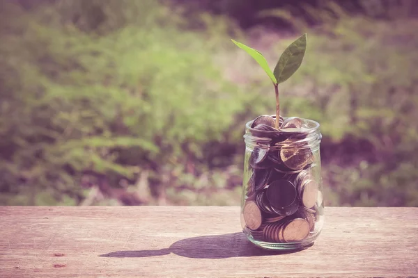 Plant growing out of coins with filter effect retro vintage styl — Stock Photo, Image