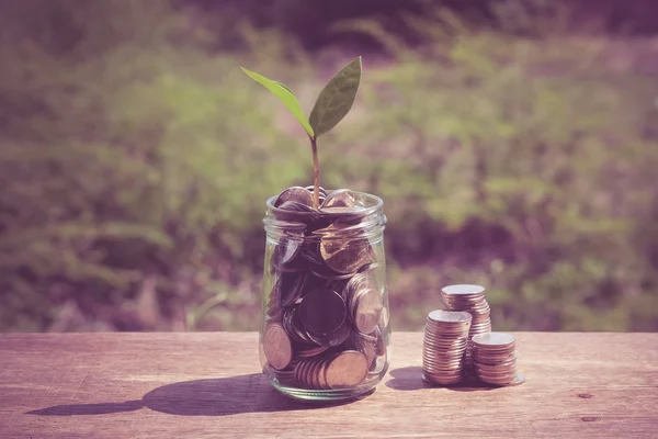 Plant growing out of coins with filter effect retro vintage styl — Stock Photo, Image