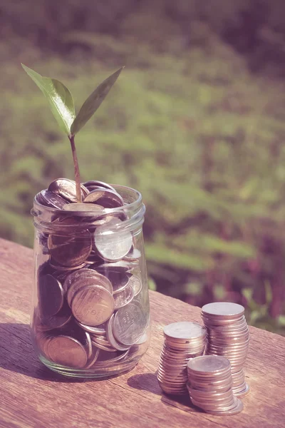 Plant growing out of coins with filter effect retro vintage styl — Stock Photo, Image