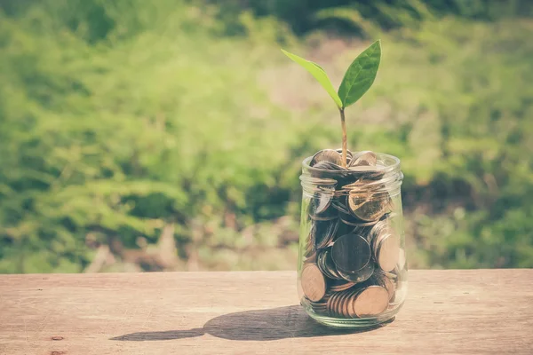 Planta que crece fuera de monedas con efecto de filtro retro estilo vintage —  Fotos de Stock