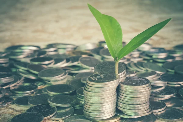 Plant growing out of coins with filter effect retro vintage styl — Stock Photo, Image