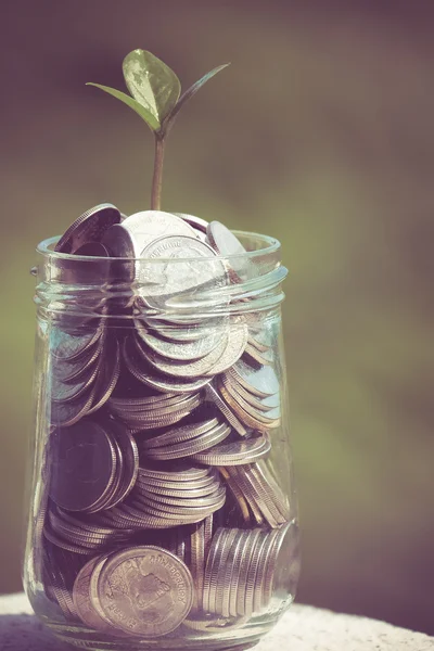 Plant growing out of coins with filter effect retro vintage styl — Stock Photo, Image