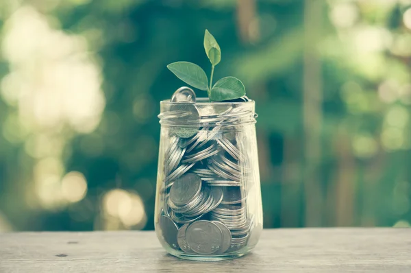 Plant growing out of coins with filter effect retro vintage styl — Stock Photo, Image