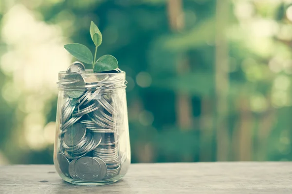 Plant growing out of coins with filter effect retro vintage styl — Stock Photo, Image