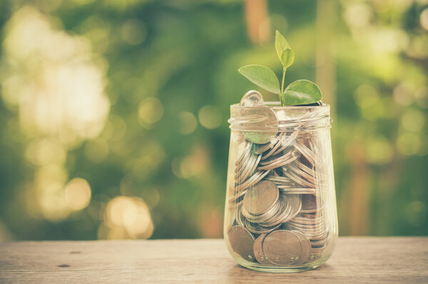 plant growing out of coins with filter effect retro vintage styl