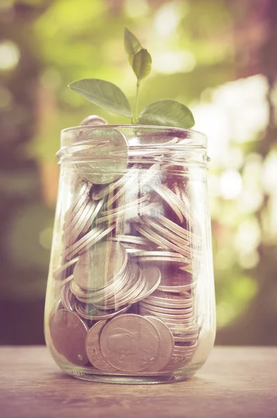 Plant growing out of coins with filter effect retro vintage styl — Stock Photo, Image