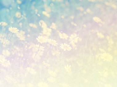 Tatlı renk arka plan tasarlamak yumuşak çiçek ve stil bulanıklık 