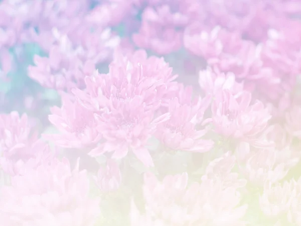 甜蜜的颜色为背景设计软花和模糊风格 — 图库照片