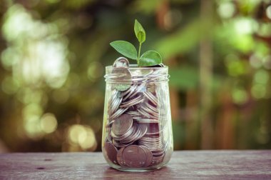 paralar ile filtre etkisi retro vintage styl dışında büyüyen bitki