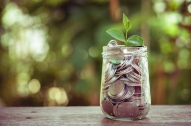 paralar ile filtre etkisi retro vintage styl dışında büyüyen bitki