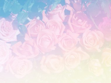 Tatlı renk arka plan tasarlamak yumuşak çiçek ve stil bulanıklık 