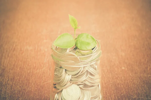 Plant groeit uit munten met filter effect retro vintage styl — Stockfoto