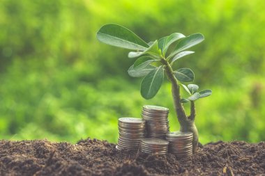 paralar filtre etkisi retro vintage tarzı ile dışarı büyüyen bitki