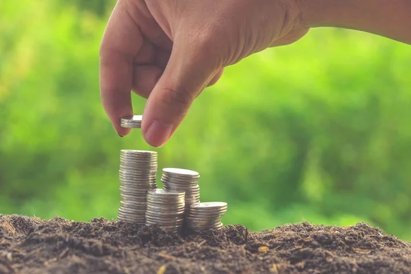 Money and plant with hand with filter effect retro vintage style — Stock Photo, Image