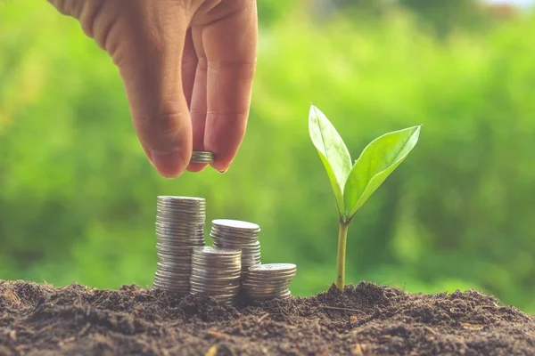 Money and plant with hand with filter effect retro vintage style — Stock Photo, Image