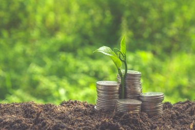 paralar filtre etkisi retro vintage tarzı ile dışarı büyüyen bitki