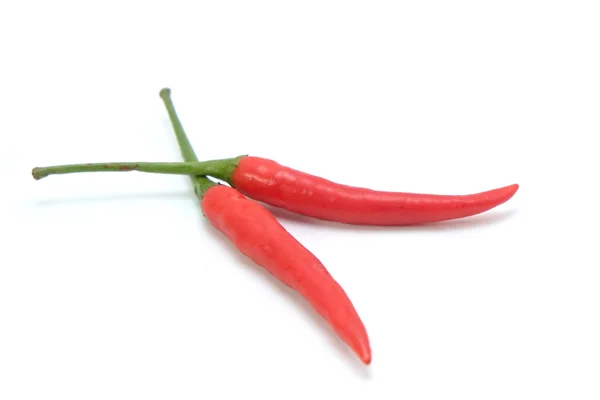 Rode chili peper geïsoleerd op een witte achtergrond — Stockfoto