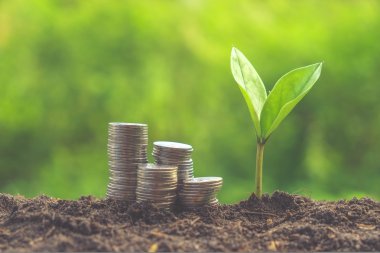 paralar filtre etkisi retro vintage tarzı ile dışarı büyüyen bitki