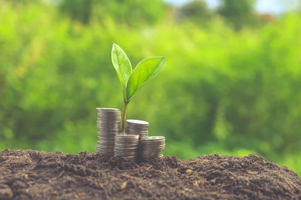 Plant growing out of coins with filter effect retro vintage style — Stock Photo, Image