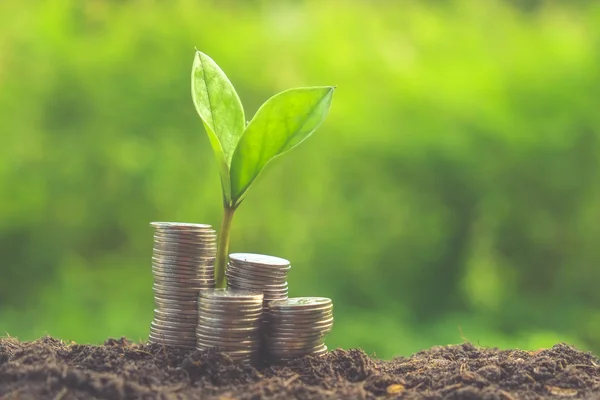 Plant growing out of coins with filter effect retro vintage style — Stock Photo, Image