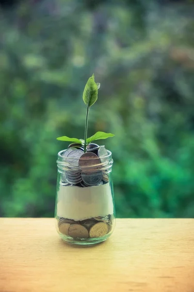 Germoglio che cresce su salvadanaio di vetro nel concetto di risparmio di denaro con — Foto Stock