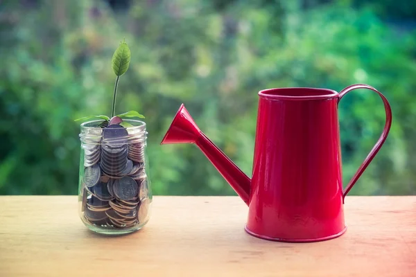 Plant growing out of coins with filter effect retro vintage style — Stock Photo, Image