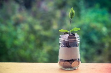 Cam kumbara para kavramı ile düzenekte üzerinde büyüyen Filiz