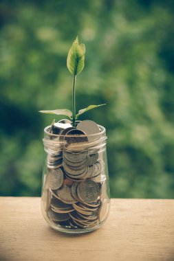 Cam kumbara para kavramı ile düzenekte üzerinde büyüyen Filiz