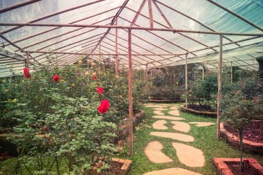 Filtre etkisi retro vintage tarzı ile Bahçe