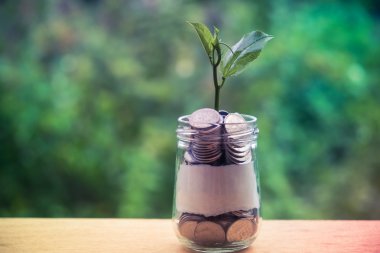 Cam kumbara para kavramı ile düzenekte üzerinde büyüyen Filiz