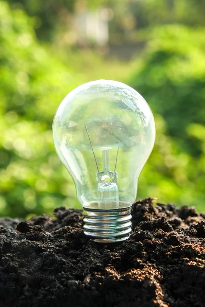 Idea and energy concept Light bulb in soil — Stock Photo, Image