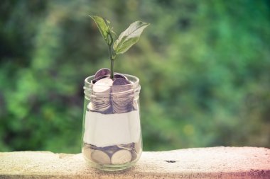 Cam kumbara para kavramı ile düzenekte üzerinde büyüyen Filiz