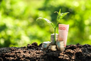 Paralar dışarı büyüyen para büyüme kavramı bitki