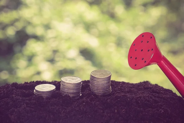 Money growth concept coins in soil with filter effect retro vintage style — Stock Photo, Image