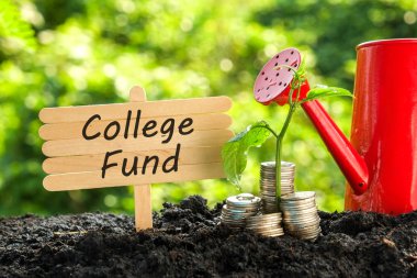 yatırım kavramı için tasarruf