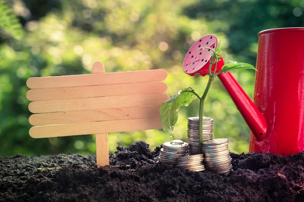 Plant growing out of coins with filter effect retro vintage style — Stock Photo, Image