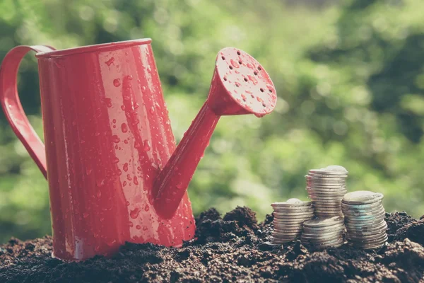 Money growth concept coins in soil with filter effect retro vintage style — Stock Photo, Image
