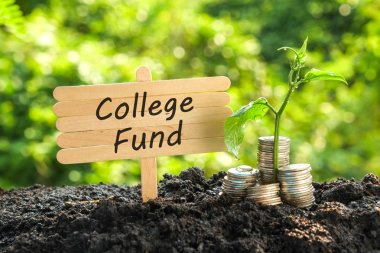 yatırım kavramı için tasarruf