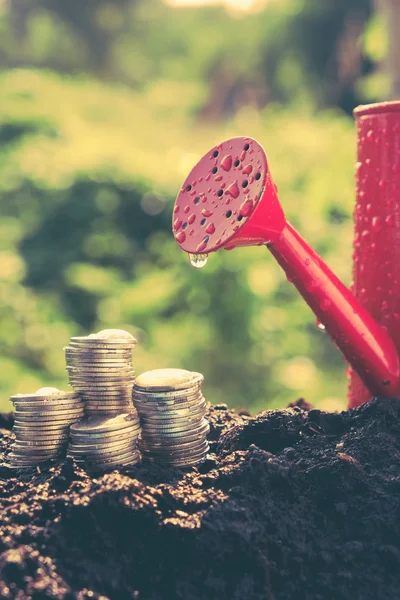 Money growth concept coins in soil with filter effect retro vintage style — Stock Photo, Image