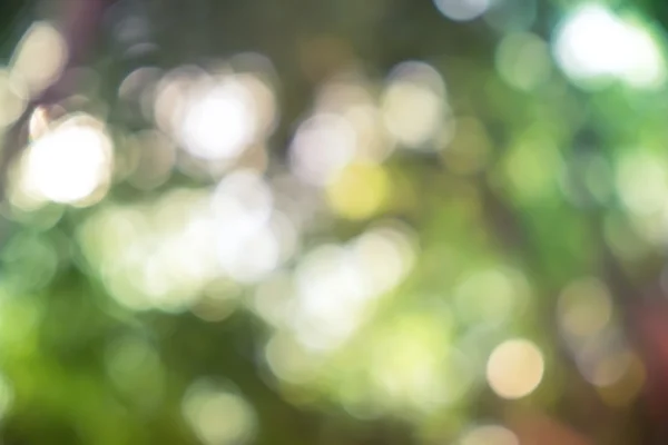 Bokeh Licht Vintage Hintergrund — Stockfoto