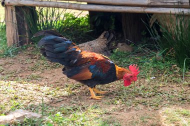 yedikten sonra ufak tefek erkek