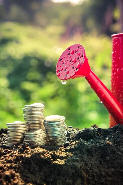 Money growth concept coins in soil with filter effect retro vintage style — Stock Photo, Image