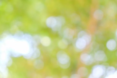 Bokeh hafif vintage arkaplanı